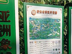 -野象谷景区