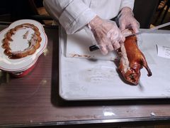 -秀儿四九城·新京菜(亚运村鸟巢店)