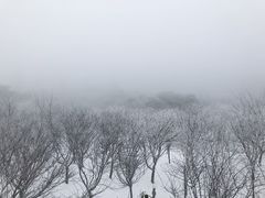 -四明山国家森林公园