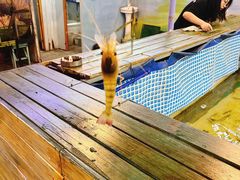 -小象钓虾·营地烧烤(洛溪店)