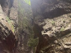 -牛背梁国家森林公园