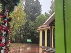 -西部长青自然儿童乐园