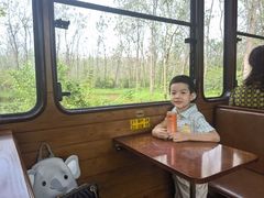 -合肥滨湖国家森林公园