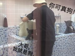 -FAELING PETS美天灵宠物(富力广场店)