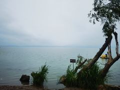 -捞渔河湿地公园