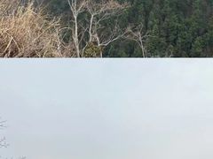 -张家界天门山国家森林公园