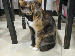 -玉椰林甜品店(创始店)