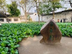 -绍兴鲁迅故里·沈园景区