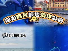 -烟台海昌鲸鲨海洋公园