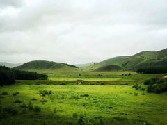 -塞罕坝国家级自然保护区