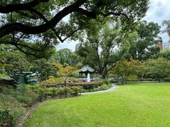 -申粤轩酒楼·三十年粤菜经典(丁香花园店)
