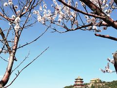 -颐和园