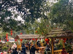 -青城甲(青城山店)