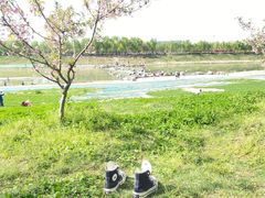 -洨河生态公园