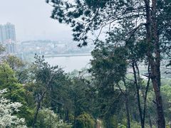 -青龙山国家森林公园