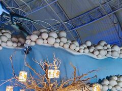 -烟台海昌鲸鲨海洋公园