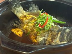 姜母龙胆斑-鑫鸿达·海鲜闽菜热炒小馆(中山路店)