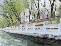 -皇家御河游(紫御湾码头)