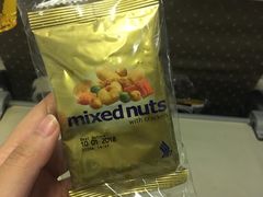 -新加坡航空公司(ION)