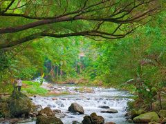 -广州市石门国家森林公园