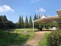 -太阳岛旅游度假区