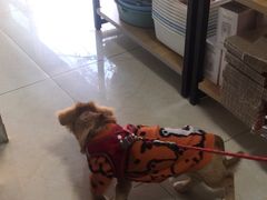 -康爱犬猫诊所·牙专科·骨外科·影像内科(丰宁店)