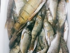 -畲乡一品鱼府土菜馆