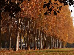 -河南省黄河迎宾馆