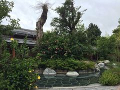 和顺柏联SPA温泉-和顺柏联温泉