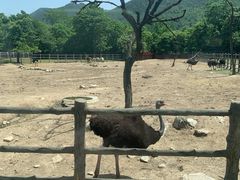 -西安秦岭野生动物园