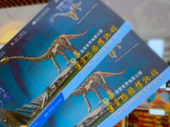 -自贡恐龙博物馆