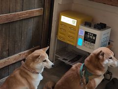 -三目仓咖啡(贤南路店)