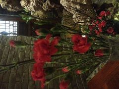 android_upload_pic-院落创意菜