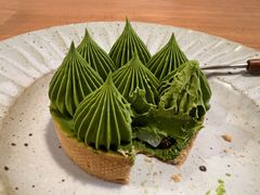 -猫里有甜