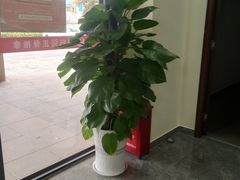 -张钰强中医正骨推拿连锁(唐家人才公寓店)