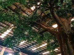 -南宫温泉水世界