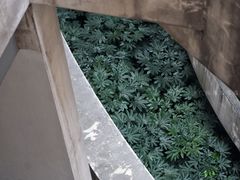 -中国计量大学(西校区)