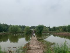 -同銮特种养殖场·龙虾垂钓