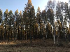 -塞罕坝国家级自然保护区