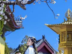 -龙口南山旅游景区