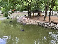 -黔灵山公园