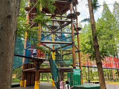 -黄海国家森林公园