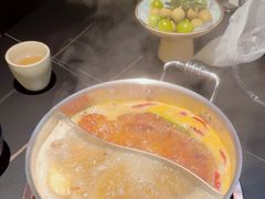 -季季山•云南野生菌火锅(上海首店)