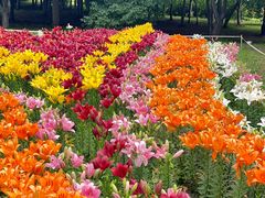 -长春公园(普阳街道)