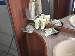 -崇明东平国家森林公园烧烤房车露营地