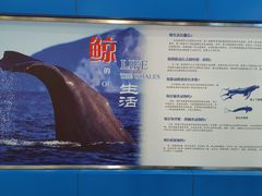 -上海海洋大学鱼文化博物馆(军工路校区)
