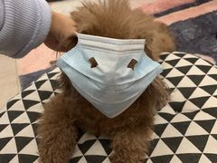 -有宠宠物(YOUCOIN·未来店)