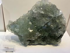 -重庆自然博物馆(新馆)