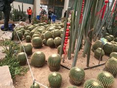 -石家庄市植物园