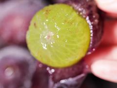 -西郊国际农产品交易中心